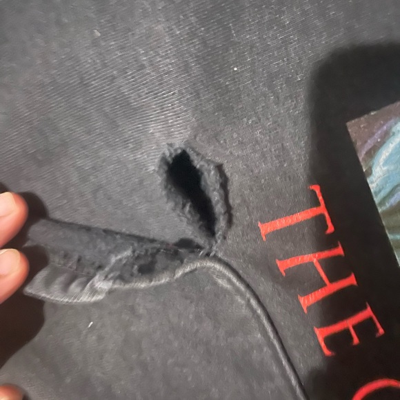 SUPREME THE CROW HOODED SWEATSHIRT - Picture 3 of 6